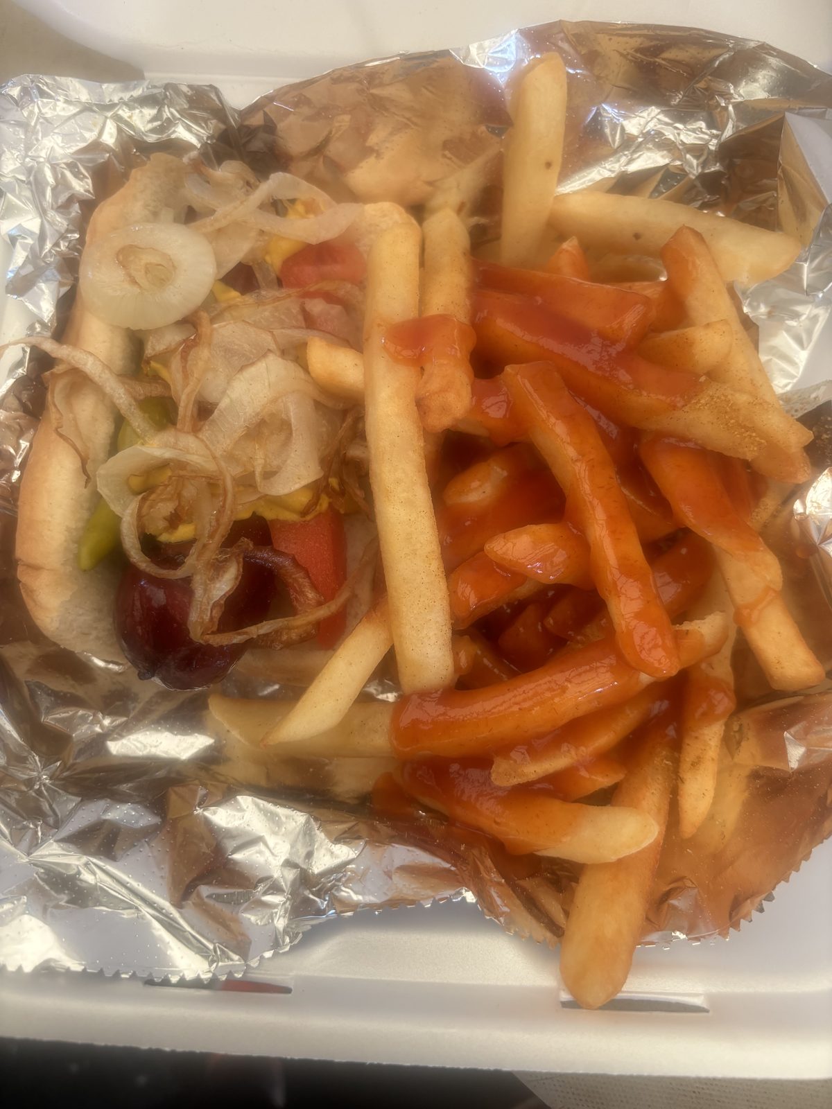 Grilled onion dog with saucy fries